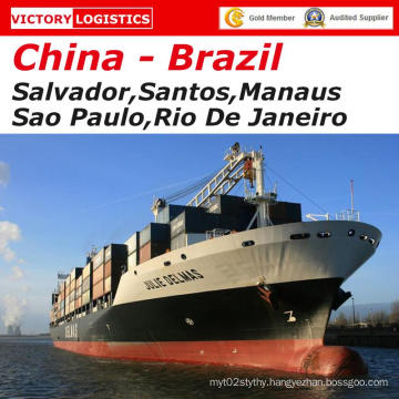 Shipping Service From Shenzhen to Santos, Brazil-Shipping Rate